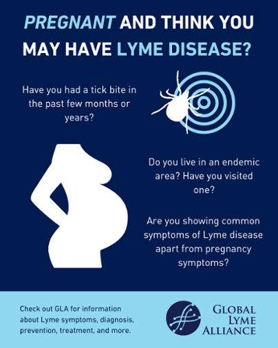 Lyme Disease During Pregnancy: Protecting Mothers and Babies