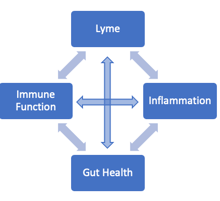 Lyme "quadrafecta" graphic