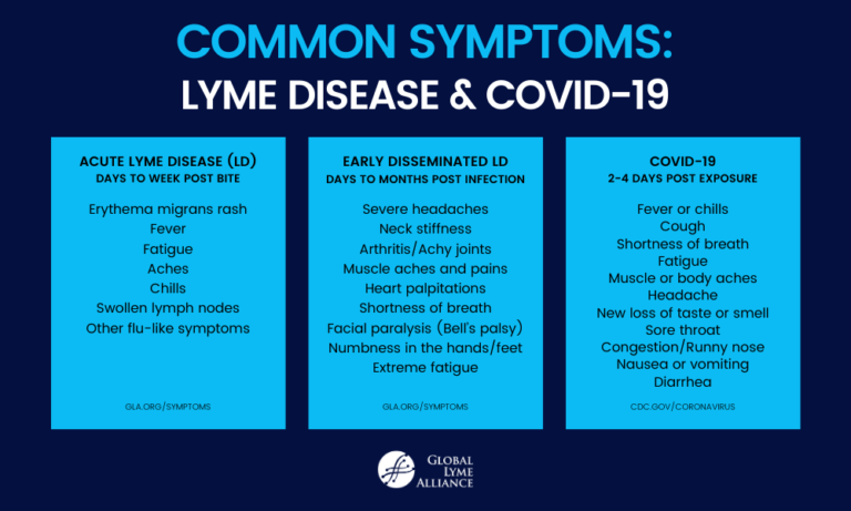 Flu Symptoms Could It Be Lyme Disease or COVID?